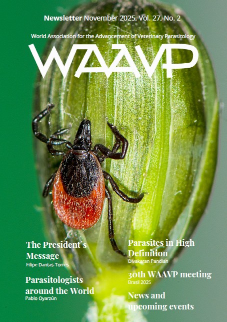 Nov 2025 No 2 Image.jpg